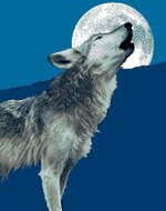 wolf.gif (22514 bytes)
