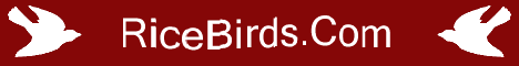 RiceBirds.Com