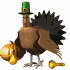 A Really Wild Turkey