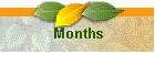 Months