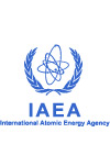 International Atomic Energy Agency (IAEA) 