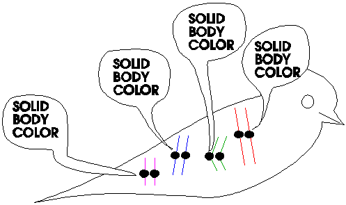 different genes talking about solid color