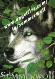 sunwolf2.jpg (20466 bytes)