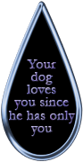 love your dog