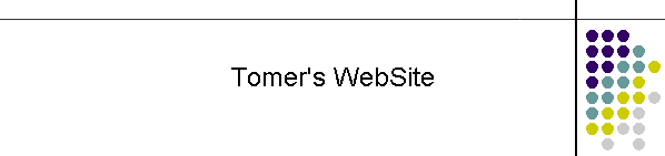 Tomer's WebSite