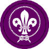 world scout badge