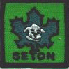 Seaton Area badge