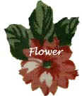 flowermain.jpg (8914 bytes)