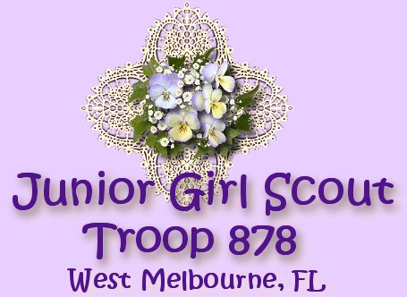 Junior GS Troop 878