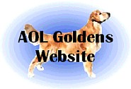 AOL's GR Message Board Webpage