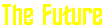 future.gif (314 bytes)