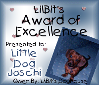 LilBit's Award of Excellence