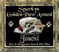 Sparky's Golden Paw Award