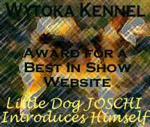 Wytoka Kennel Award for a Best in Show Website