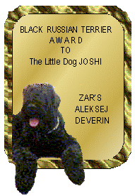 Black Russian Terrier Award