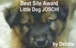 Best Site Award