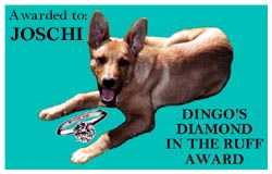 Dingo's Diamond in the Ruff Award