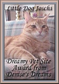 Dreamy Pet Site Award from Denise's Dreams