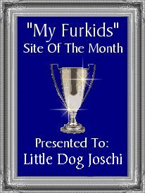 My Furkids - Site of the Month - May 2000