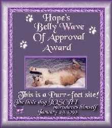 Hope's Belly Wave Of Approval Award