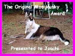 The Original Mud Husky Award / The former URL is no longer valid!