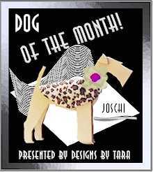 Tara - Dog Of The Month