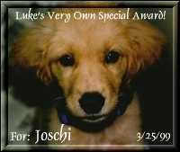 Luke's Special Award for JOSCHI