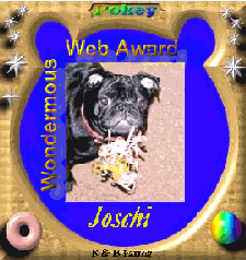 Wondermous Web Award