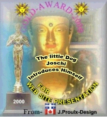 Gold Award for Web Site Presentation