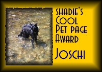 Shadie's Cool Pet Page Award