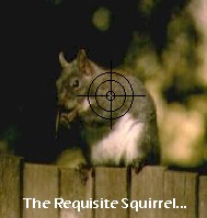 squirrelpic.jpg (11303 bytes)