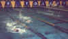 swimming1.jpg (20006 bytes)