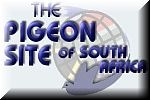 A SOUTH AFRICAN PIGEON PAGE