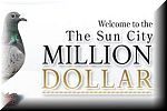 Sun City Million Dollar Pigeon Race