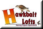 Hawkbait Lofts - USA