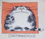 Cantankerous Cat