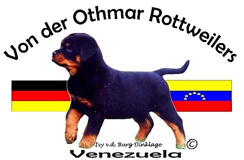 Welcome to -Von der Othmar Rottweilers-