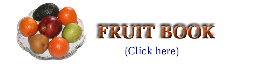 Fruitbook banner
