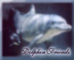Dolphin Friends...Support the Cause