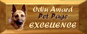 Odin Pet Page Excellence
Award