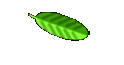 CARIMBOS