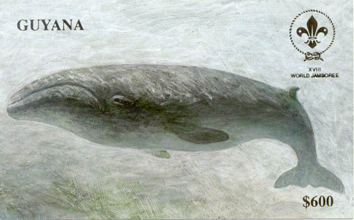 acrylic-whale-official_postage