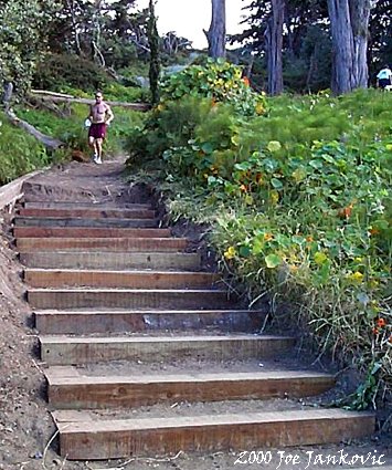 Dirt Staircase With New Wooden Steps