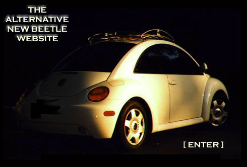 Enter The Alternative New Beetle Website