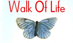 Walk Of Life - Season 1 (Finale posted on the 28th April 2001)