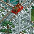 Wooden Side-Friction Roller Coaster