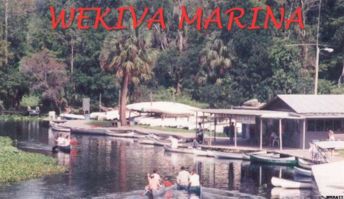 Wekiva Marina Canoes