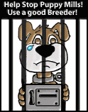 Stop Puppy Mills!  Use a good breeder!