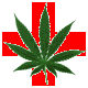 We support Medical Marijuana