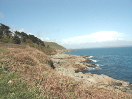 The Coastal Path West of Mousehole